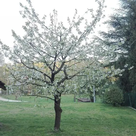Casa Vacanza Tre Pini Feriehus Ameno